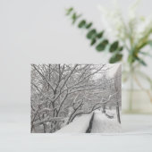 Winter Snowstorm Riverside Park Trees New York NYC Briefkaart (Staand voorkant)