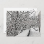 Winter Snowstorm Riverside Park Trees New York NYC Briefkaart (Voorkant / Achterkant)