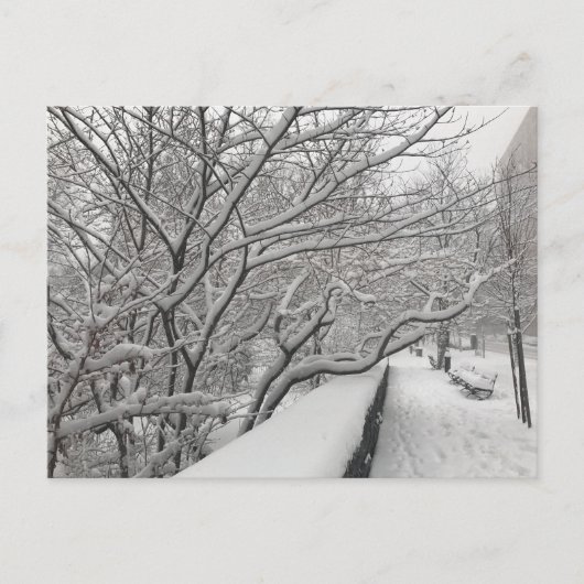 Winter Snowstorm Riverside Park Trees New York NYC Briefkaart (Voorkant)
