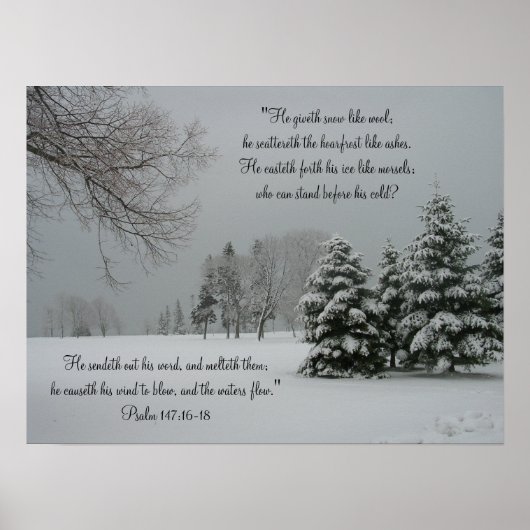 Winter Snowy Landscape-Scripting Quote Poster (Voorkant)