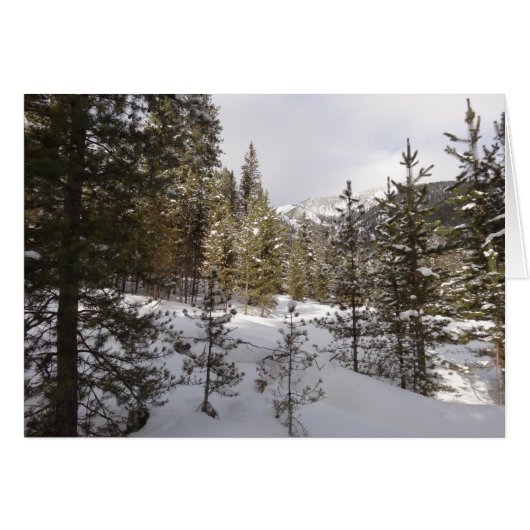 Winter Snowy Mountain Scene in Montana (Voorkant Horizontaal)