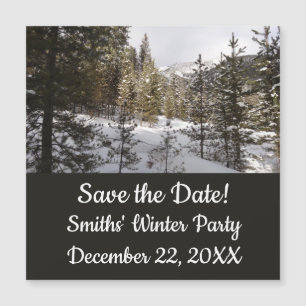 Winter Snowy Mountain Scene in Montana