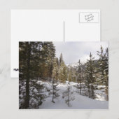 Winter Snowy Mountain Scene in Montana Briefkaart (Voorkant / Achterkant)