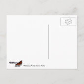 Winter Snowy Mountain Scene in Montana Briefkaart (Achterkant)