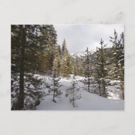 Winter Snowy Mountain Scene in Montana Briefkaart