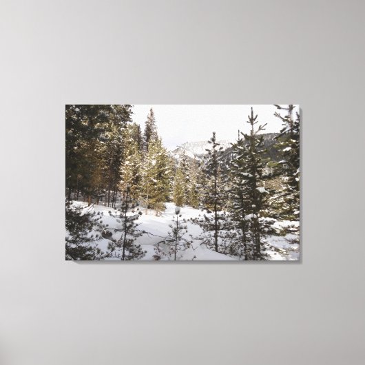 Winter Snowy Mountain Scene in Montana Canvas Afdruk (Voorkant)