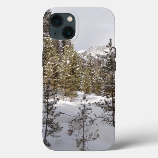 Winter Snowy Mountain Scene in Montana Case-Mate iPhone Case (Achterkant)