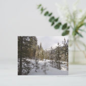 Winter Snowy Mountain Scene in Montana Feestdagenkaart (Staand voorkant)