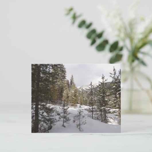 Winter Snowy Mountain Scene in Montana Feestdagenkaart (Staand voorkant)