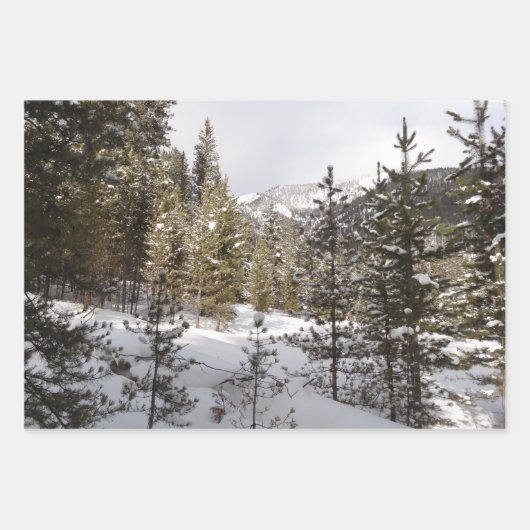 Winter Snowy Mountain Scene in Montana Inpakpapier Vel (Voorkant 2)