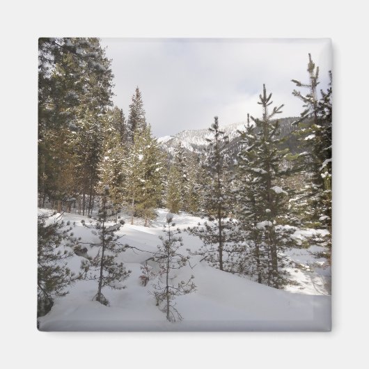 Winter Snowy Mountain Scene in Montana Magneet (Voorkant)