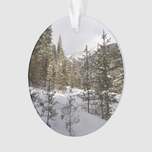 Winter Snowy Mountain Scene in Montana Ornament (voorkant)