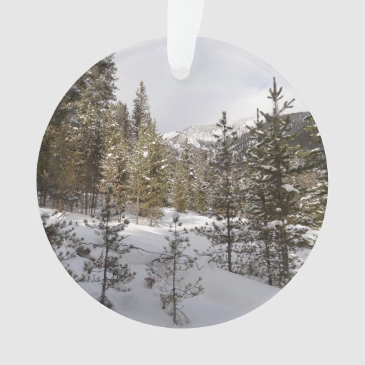Winter Snowy Mountain Scene in Montana Ornament (voorkant)