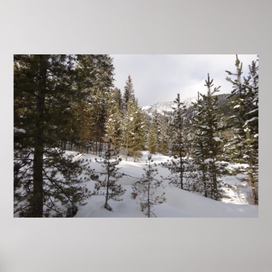 Winter Snowy Mountain Scene in Montana Poster (Voorkant)