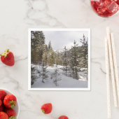 Winter Snowy Mountain Scene in Montana Servet (Insitu)
