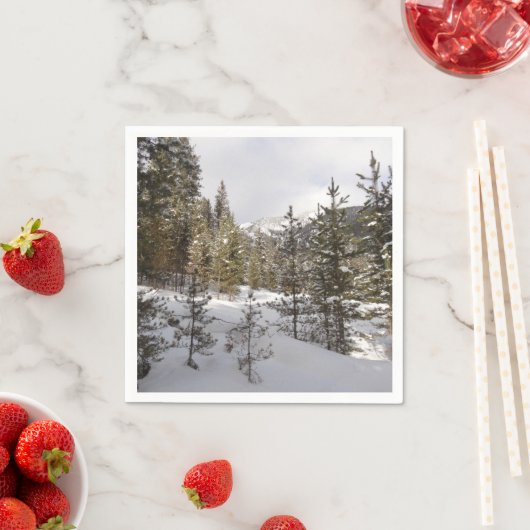 Winter Snowy Mountain Scene in Montana Servet (Insitu)