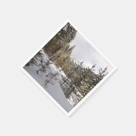 Winter Snowy Mountain Scene in Montana Servet (Hoek)