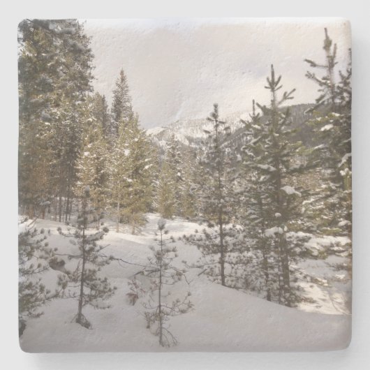 Winter Snowy Mountain Scene in Montana Stenen Onderzetter (Voorkant)