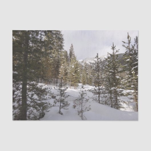 Winter Snowy Mountain Scene in Montana Tissuepapier (Voorkant)