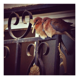 Winter Snuggles Foto Afdruk