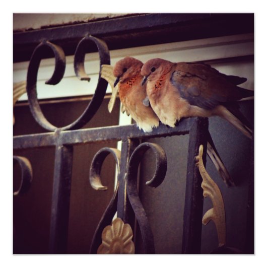 Winter Snuggles Foto Afdruk (Voorkant)