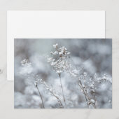 Winter Softness, snowy Feestdagenkaart (Voorkant / Achterkant)