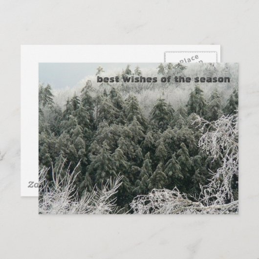 Winter Solstice Briefkaart (Voorkant / Achterkant)