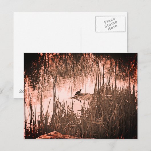 Winter Solstice Briefkaart (Voorkant / Achterkant)