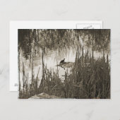 Winter Solstice Briefkaart (Voorkant / Achterkant)