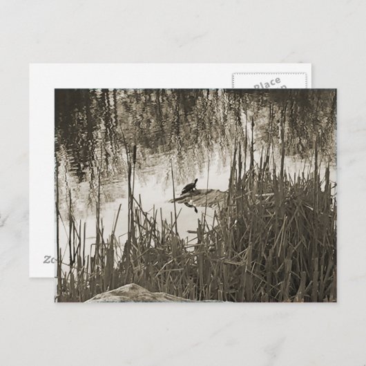 Winter Solstice Briefkaart (Voorkant / Achterkant)