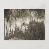 Winter Solstice Briefkaart (Voorkant)