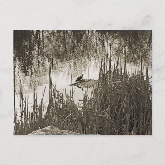 Winter Solstice Briefkaart (Voorkant)