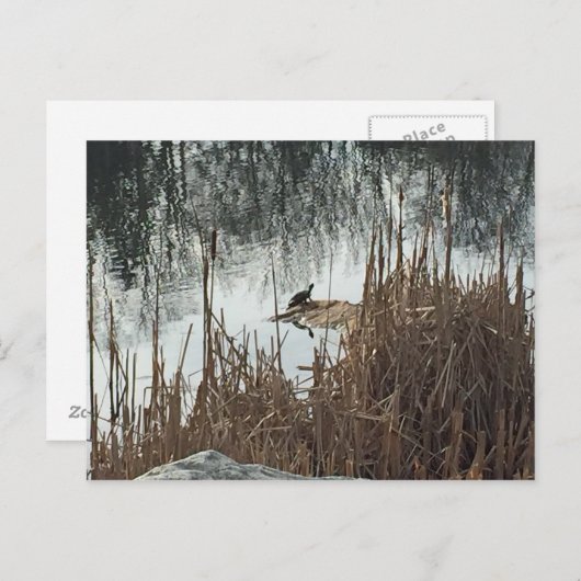 Winter Solstice Briefkaart (Voorkant / Achterkant)