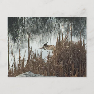 Winter Solstice Briefkaart