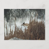 Winter Solstice Briefkaart (Voorkant)