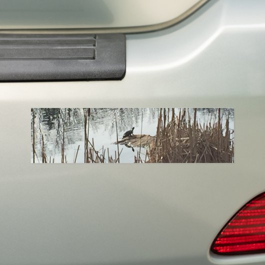 Winter Solstice Bumpersticker (Op auto)