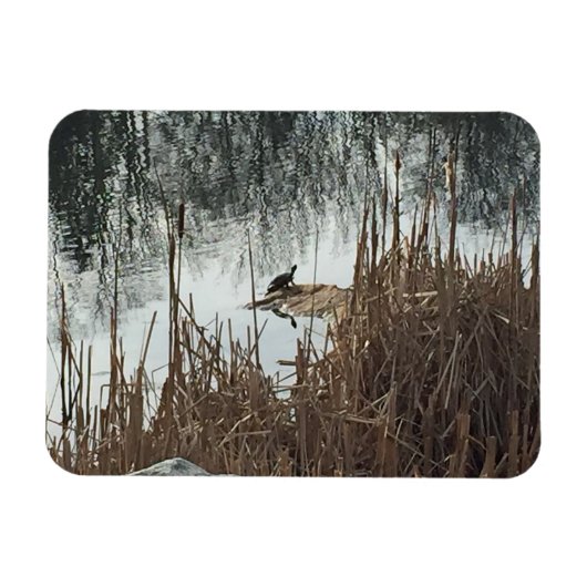 Winter Solstice Magneet (Horizontaal)