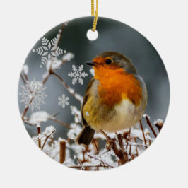 Winter Solstice met Robin Bird Ceramic Ornament