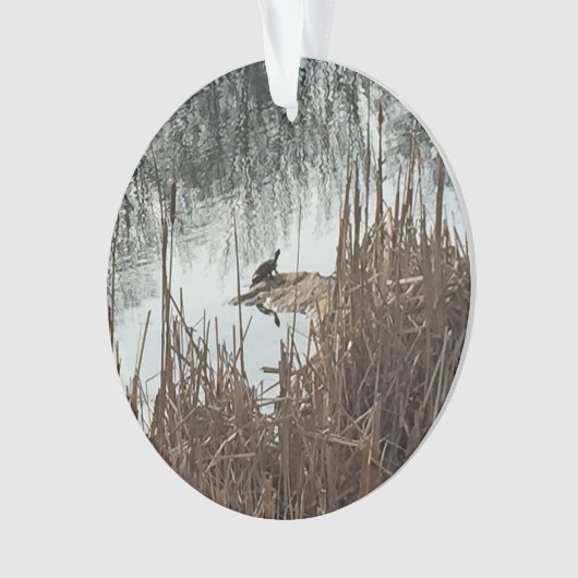 Winter Solstice Ornament (voorkant)