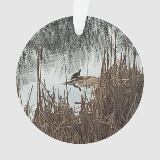 Winter Solstice Ornament (voorkant)