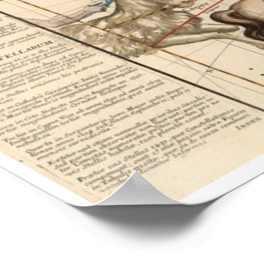 Winter Solstice Poster (Hoek)