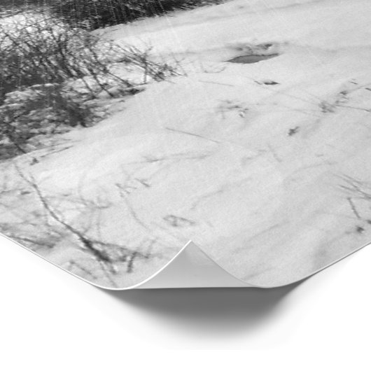 Winter Solstice Poster (Hoek)