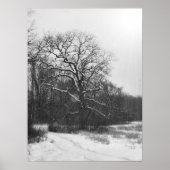 Winter Solstice Poster (Voorkant)