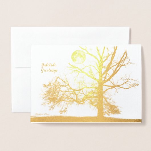 Winter Solstice: Prospect Park, NY-vakantie Folie Kaarten (Voorkant met envelop)