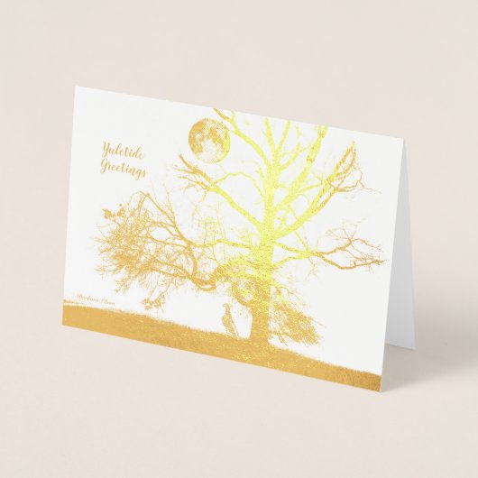 Winter Solstice: Prospect Park, NY-vakantie Folie Kaarten (Voorkant)