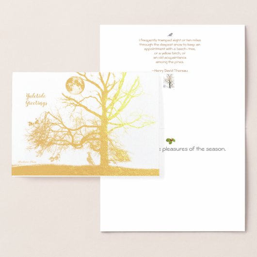 Winter Solstice: Prospect Park, NY-vakantie Folie Kaarten (Display)