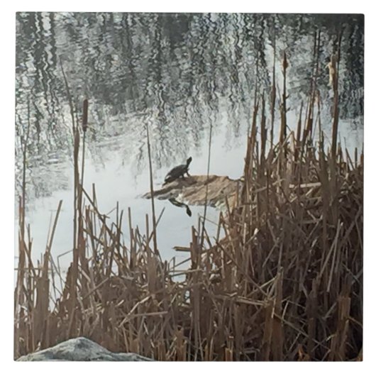 Winter Solstice Tegeltje (Voorkant)