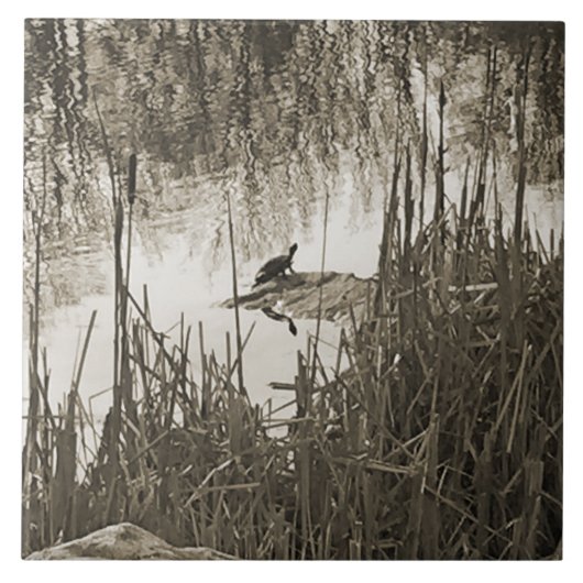 Winter Solstice Tegeltje (Voorkant)