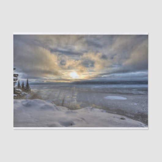 Winter Solstice Turnback Arm Tissuepapier (Voorkant)