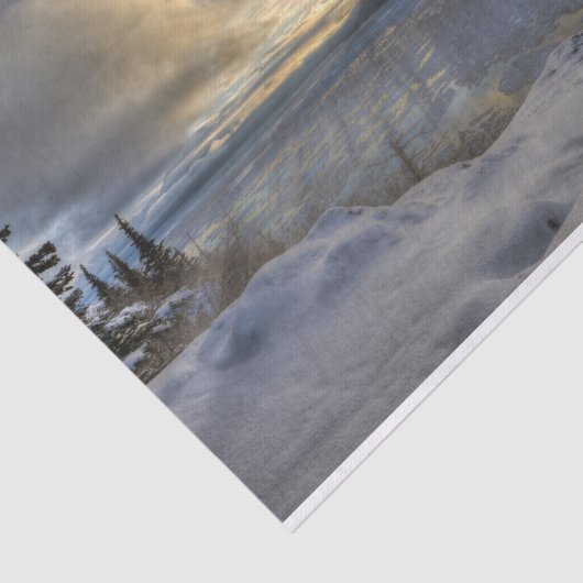 Winter Solstice Turnback Arm Tissuepapier (Detail)